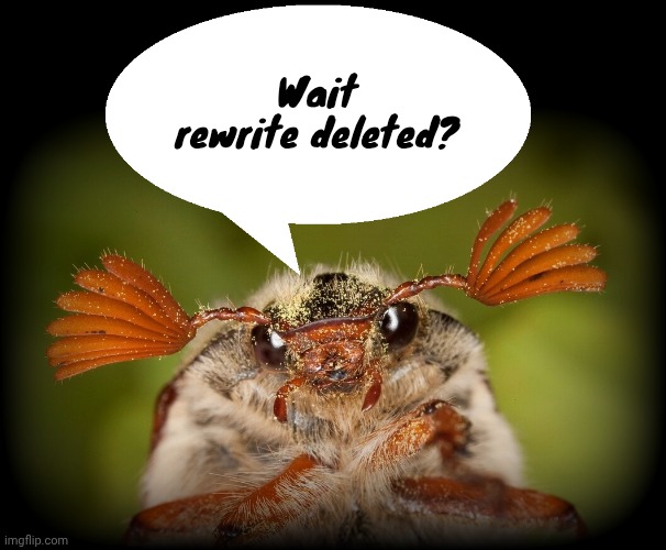 Doodlebug/odd announcement temp | Wait rewrite deleted? | image tagged in doodlebug/odd announcement temp | made w/ Imgflip meme maker