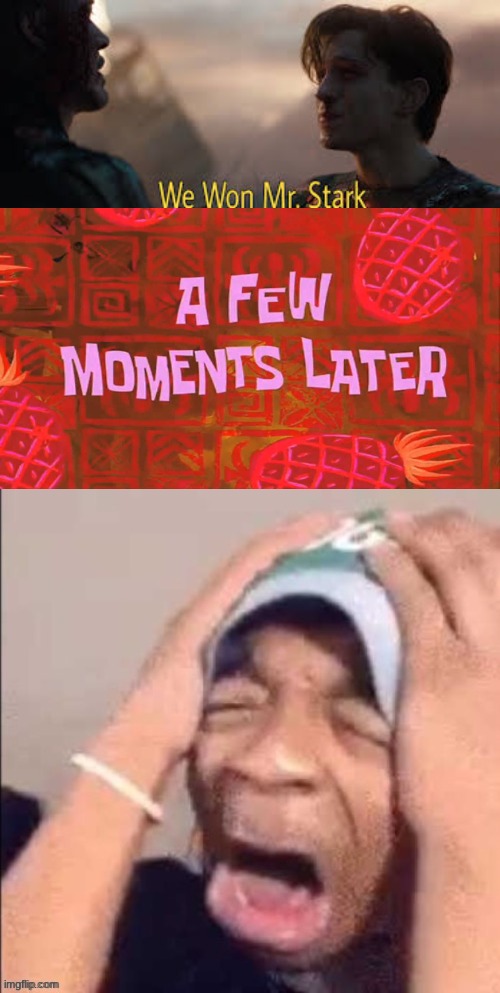 image tagged in we won mr stark,a few moments later,nooooooooooooooooooooooooooooooooooooooooooooooooooooooooooooooo | made w/ Imgflip meme maker