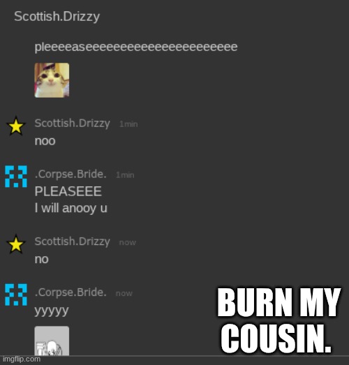 BURN MY COUSIN. | made w/ Imgflip meme maker