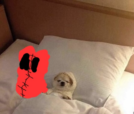 SCP-726-J Blank Meme Template