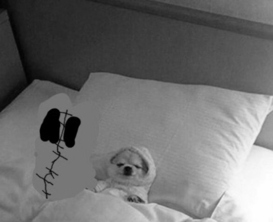 SCP-726-J Blank Meme Template