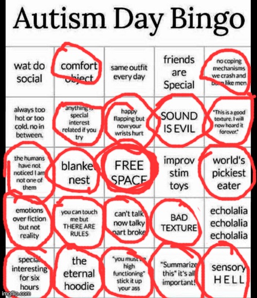 Im ok ? | image tagged in autism bingo,neurodivergent,autism | made w/ Imgflip meme maker