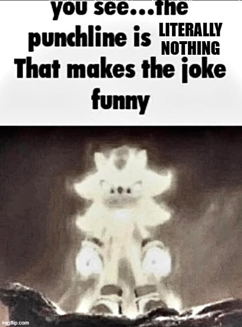 Shadow explains the joke | LITERALLY NOTHING | image tagged in shadow explains the joke | made w/ Imgflip meme maker