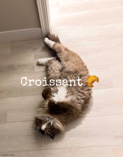 Croissant 🥐 | made w/ Imgflip meme maker