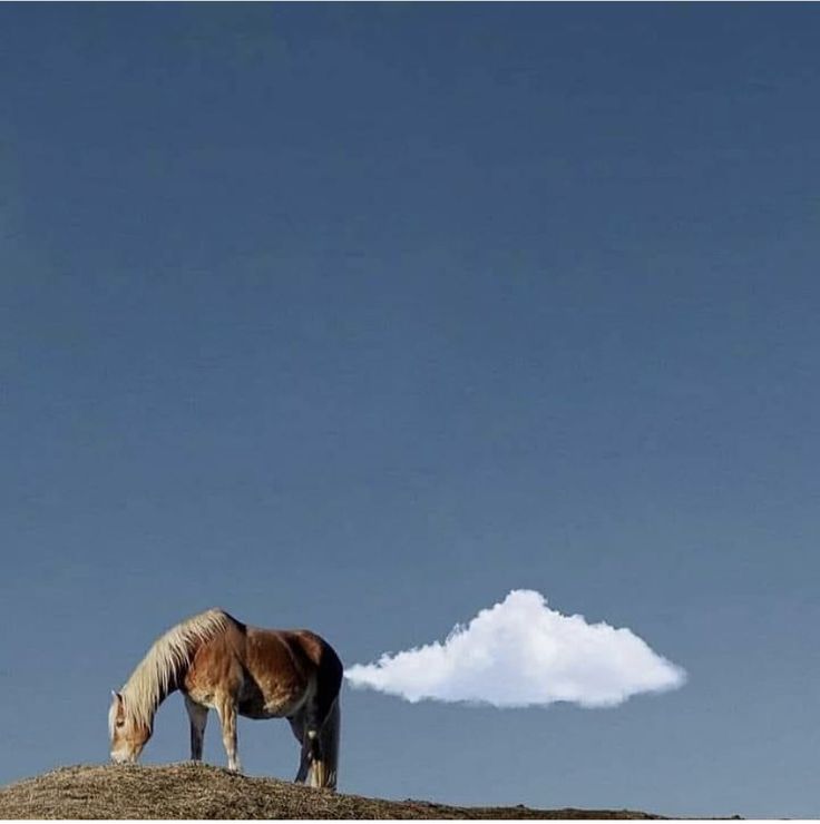 Chrisjoines1 Blank Meme Template