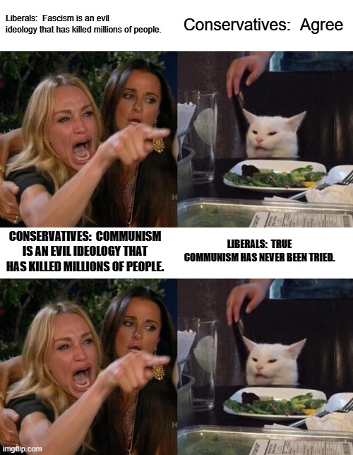 Liberals:  Fascism is an evil ideology that has killed millions of people. Conservatives:  Agree; CONSERVATIVES:  COMMUNISM IS AN EVIL IDEOLOGY THAT HAS KILLED MILLIONS OF PEOPLE. LIBERALS:  TRUE COMMUNISM HAS NEVER BEEN TRIED. | image tagged in memes,woman yelling at cat | made w/ Imgflip meme maker