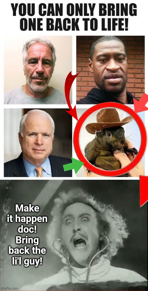 If you could bring one back | Make it happen doc! Bring back the li'l guy! | image tagged in young frankenstein,squirrel | made w/ Imgflip meme maker