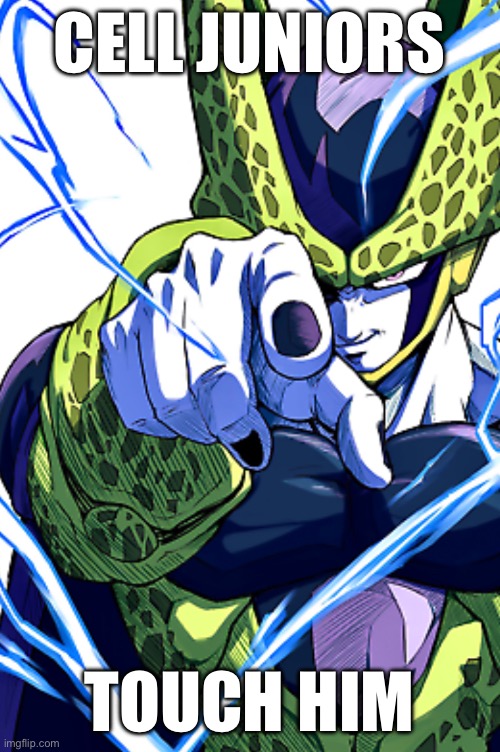 Cell pointing | CELL JUNIORS; TOUCH HIM | image tagged in cell pointing | made w/ Imgflip meme maker