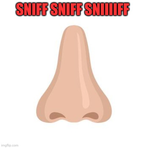SNIFF SNIFF SNIIIIFF | made w/ Imgflip meme maker
