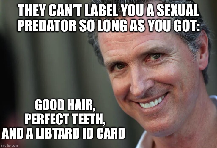 Gavin Newsom | THEY CAN’T LABEL YOU A SEXUAL PREDATOR SO LONG AS YOU GOT:; GOOD HAIR,
PERFECT TEETH,
AND A LIBTARD ID CARD | image tagged in gavin newsom | made w/ Imgflip meme maker