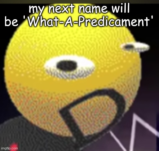 w or L | my next name will be 'What-A-Predicament' | image tagged in iqot | made w/ Imgflip meme maker