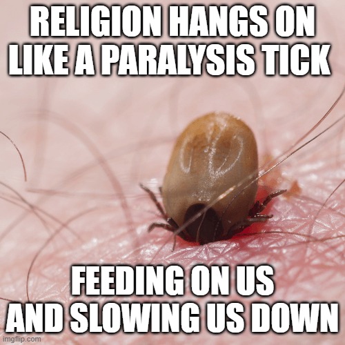 Religion is like a Paralysis Tick | RELIGION HANGS ON LIKE A PARALYSIS TICK; FEEDING ON US AND SLOWING US DOWN | image tagged in anti-religion,parasite,cult,scammers,anti religion | made w/ Imgflip meme maker