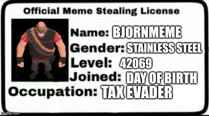 Meme Stealing License | BJORNMEME; STAINLESS STEEL; 42069; DAY OF BIRTH; TAX EVADER | image tagged in meme stealing license | made w/ Imgflip meme maker