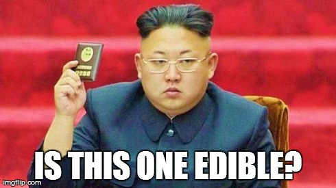 Hungry Dictator | IS THIS ONE EDIBLE? | image tagged in hungry dictator | made w/ Imgflip meme maker