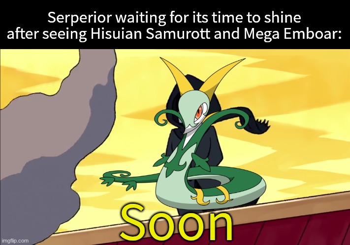 Give this grass snake a Gigantamax form | Serperior waiting for its time to shine after seeing Hisuian Samurott and Mega Emboar:; Soon | image tagged in memes,funny,pokemon,gaming,cartoon | made w/ Imgflip meme maker