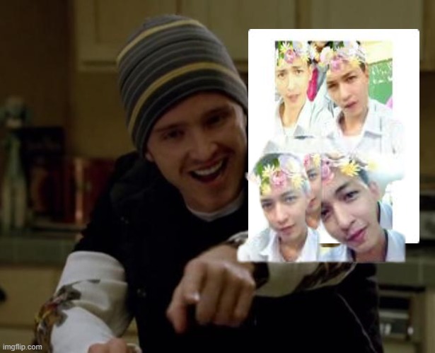 Instagram | image tagged in it's science bitch | made w/ Imgflip meme maker