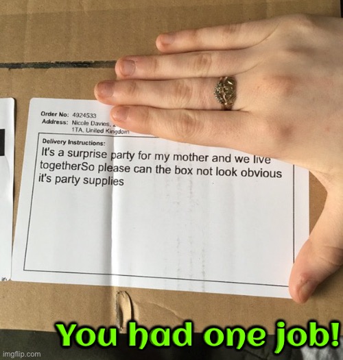 Task Failed Successfully | You had one job! | image tagged in you had one job,you had one job just the one,fail army,task failed successfully,epic fail,you're fired | made w/ Imgflip meme maker