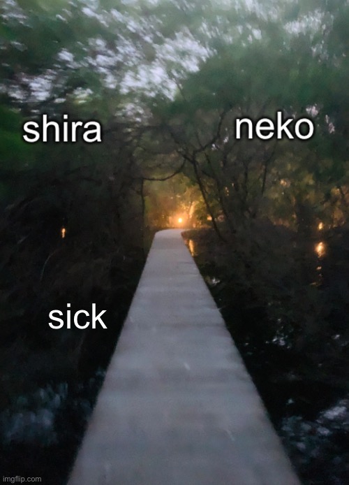 shira n neko shared temp | sick | image tagged in shira n neko shared temp | made w/ Imgflip meme maker
