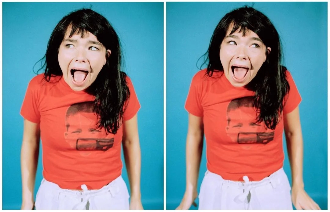 Bjork looking left and right Blank Meme Template