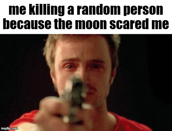 jesse pinkman pointing gun | me killing a random person because the moon scared me | image tagged in jesse pinkman pointing gun | made w/ Imgflip meme maker