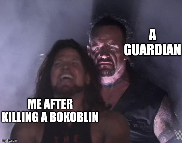 undertaker | A GUARDIAN; ME AFTER KILLING A BOKOBLIN | image tagged in undertaker | made w/ Imgflip meme maker