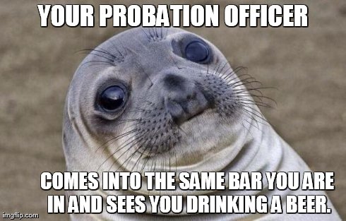 Awkward Moment Sealion Meme | YOUR PROBATION OFFICER COMES INTO THE SAME BAR YOU ARE IN AND SEES YOU DRINKING A BEER. | image tagged in memes,awkward moment sealion | made w/ Imgflip meme maker