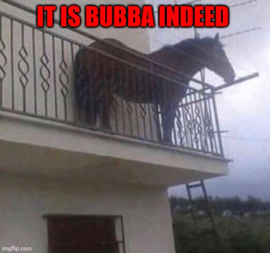 Juan | IT IS BUBBA INDEED | image tagged in juan | made w/ Imgflip meme maker