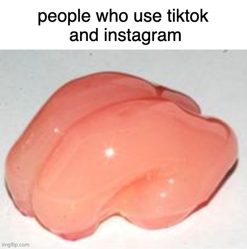 Move to reddit or imgflip!!! | people who use tiktok
 and instagram | image tagged in smooth brain,dumb,social media | made w/ Imgflip meme maker