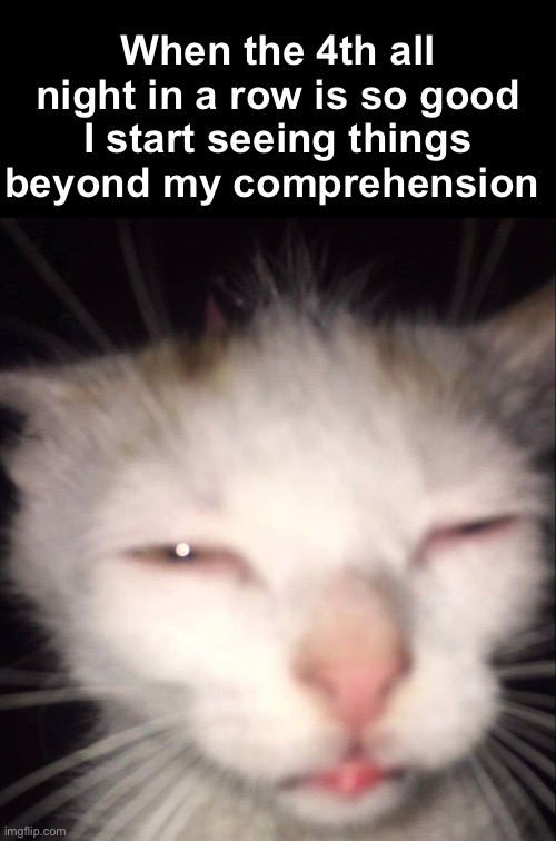 Tired cat | When the 4th all night in a row is so good I start seeing things beyond my comprehension | image tagged in tired cat | made w/ Imgflip meme maker