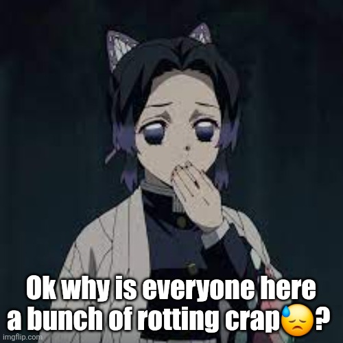 wait u have a point | Ok why is everyone here a bunch of rotting crap😓? | image tagged in wait u have a point | made w/ Imgflip meme maker