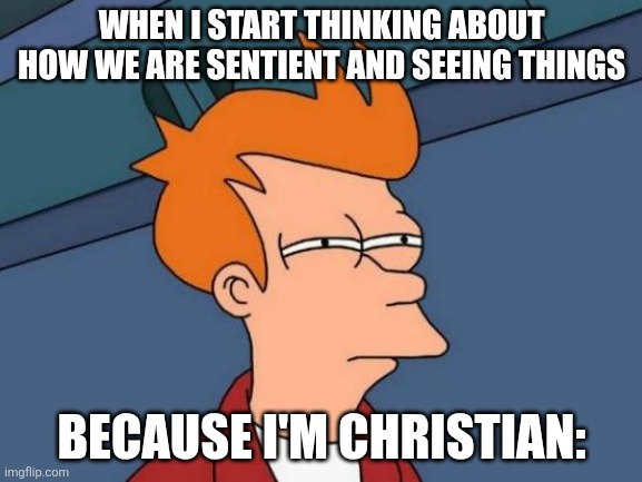 Honestly it makes me go crazy. | WHEN I START THINKING ABOUT HOW WE ARE SENTIENT AND SEEING THINGS; BECAUSE I'M CHRISTIAN: | image tagged in memes,futurama fry | made w/ Imgflip meme maker