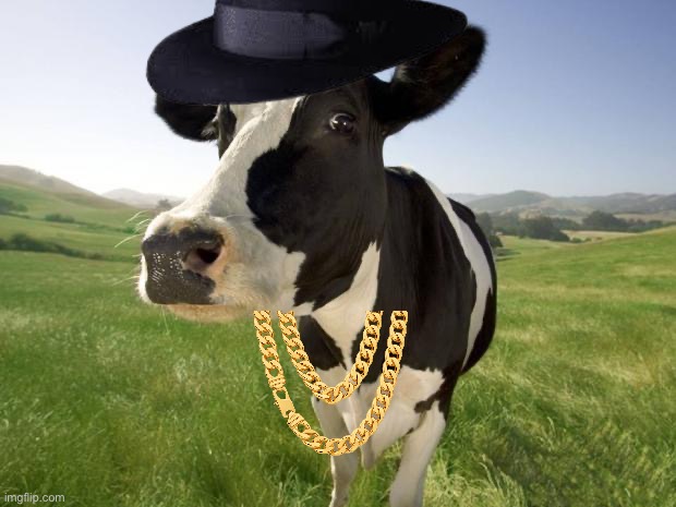 cow | image tagged in cow | made w/ Imgflip meme maker