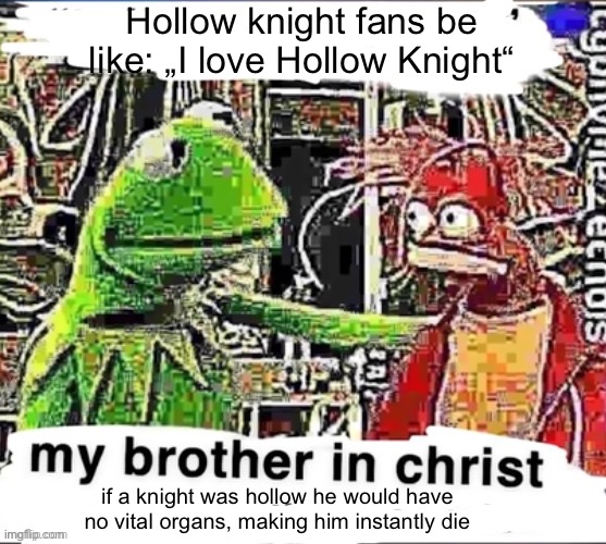 My brother in Christ | Hollow knight fans be like: „I love Hollow Knight“; if a knight was hollow he would have no vital organs, making him instantly die | image tagged in my brother in christ | made w/ Imgflip meme maker