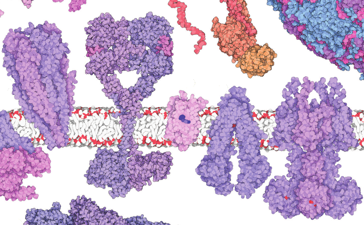 Molecular Machinery Blank Meme Template