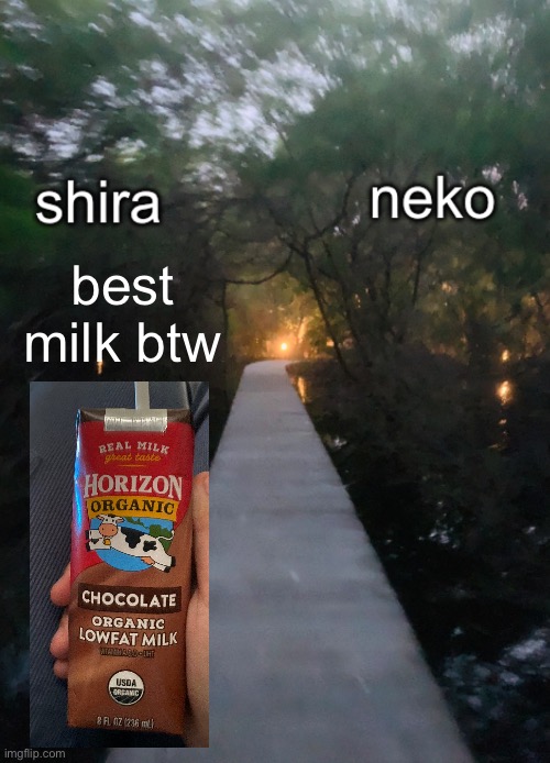 shira n neko shared temp | best milk btw | image tagged in shira n neko shared temp | made w/ Imgflip meme maker