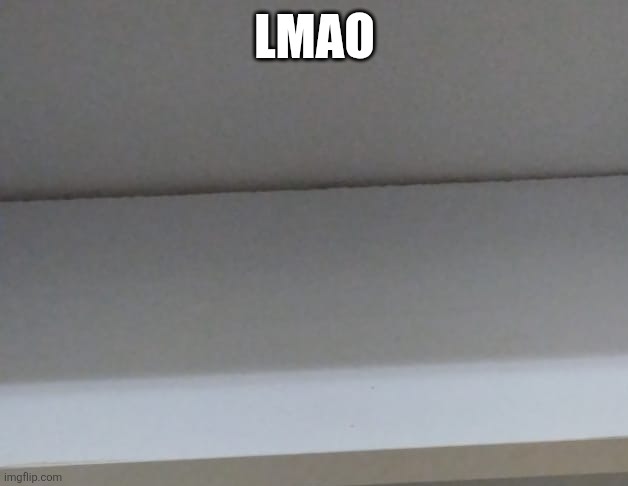 LMAO | made w/ Imgflip meme maker