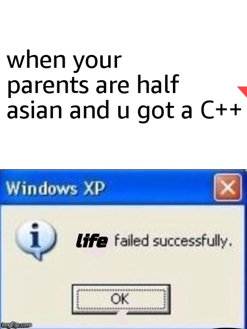 task failed successfully | when your parents are half asian and u got a C++; life | image tagged in task failed successfully | made w/ Imgflip meme maker