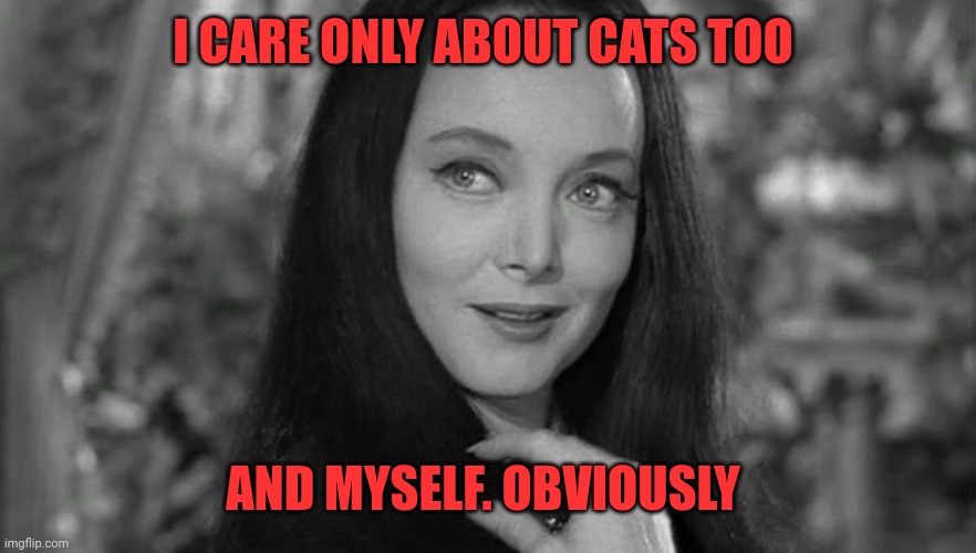 Morticia Addams (60 sitcom) | I CARE ONLY ABOUT CATS TOO; AND MYSELF. OBVIOUSLY | image tagged in morticia addams 60 sitcom | made w/ Imgflip meme maker