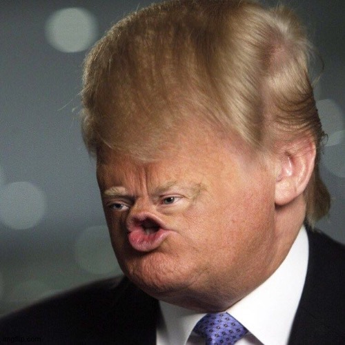 image tagged in squished trump face | made w/ Imgflip meme maker