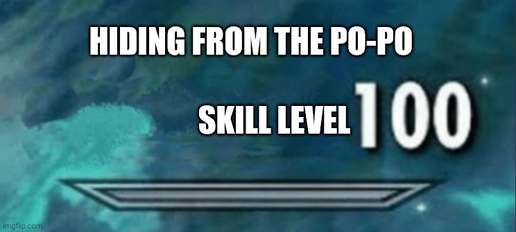 Skyrim skill level | SKILL LEVEL HIDING FROM THE PO-PO | image tagged in skyrim skill level | made w/ Imgflip meme maker