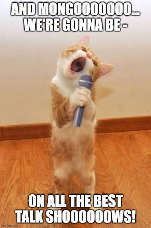 Donut's Epilogue | AND MONGOOOOOOO...
WE'RE GONNA BE -; ON ALL THE BEST
TALK SHOOOOOOWS! | image tagged in dcc,dungeon crawler carl,donut | made w/ Imgflip meme maker