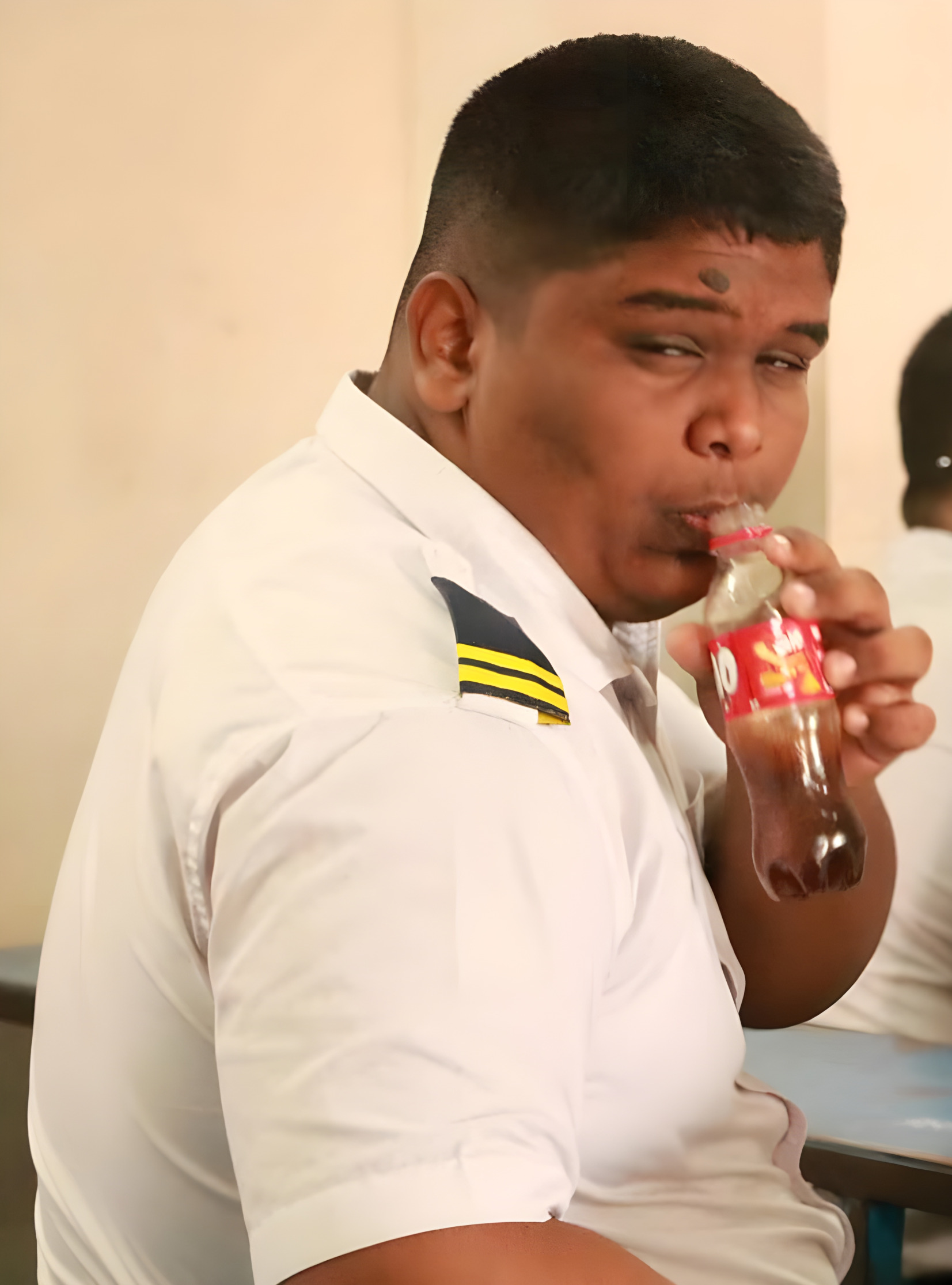 The Hippo Blank Meme Template