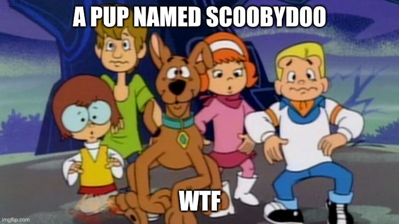 A PUP NAMED SCOOBYDOO WTF | image tagged in a pup named scoody doo wtf | made w/ Imgflip meme maker