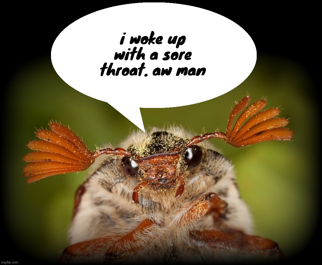 Doodlebug/odd announcement temp | i woke up with a sore throat. aw man | image tagged in doodlebug/odd announcement temp | made w/ Imgflip meme maker