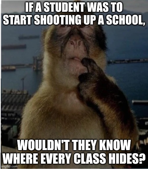 School shooting | IF A STUDENT WAS TO START SHOOTING UP A SCHOOL, WOULDN'T THEY KNOW WHERE EVERY CLASS HIDES? | image tagged in thinking monkey | made w/ Imgflip meme maker