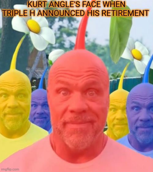 Picked men | KURT ANGLE'S FACE WHEN TRIPLE H ANNOUNCED HIS RETIREMENT | image tagged in picked men | made w/ Imgflip meme maker