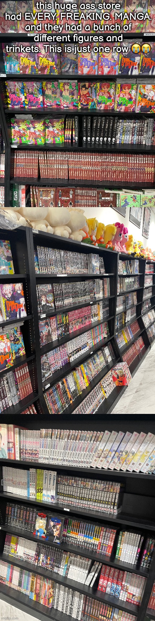 they also had a bunch of books with just the art | Denji | this huge ass store had EVERY. FREAKING. MANGA. and they had a bunch of different figures and trinkets. This is just one row 😭😭 | made w/ Imgflip meme maker