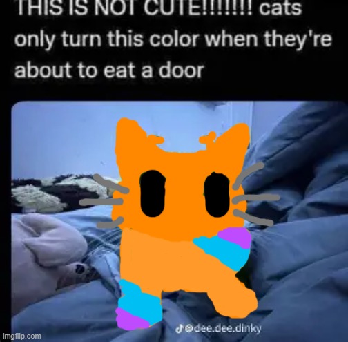 Turned flare into a silly goober doober woober hoober noober | made w/ Imgflip meme maker