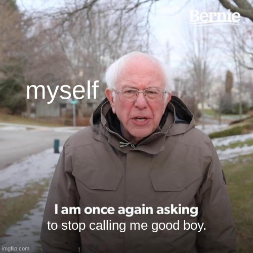 I am not a good boy. | myself; to stop calling me good boy. | image tagged in memes,bernie i am once again asking for your support | made w/ Imgflip meme maker