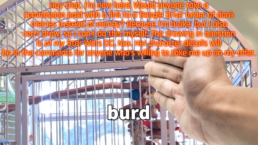 I need help please! | Hey chat, I'm new here. Would anyone take a commission paid with a link to a Google Drive folder of dank memes instead of money? Because I'm broke, but I also can't draw, so I can't do this myself. The drawing in question is of my Star Wars OC, Nox. Her character details will be in the comments for anyone who's willing to take me up on my offer. | image tagged in if you read this tag you are immune to,repost or bad thing will happen to you,posts | made w/ Imgflip meme maker